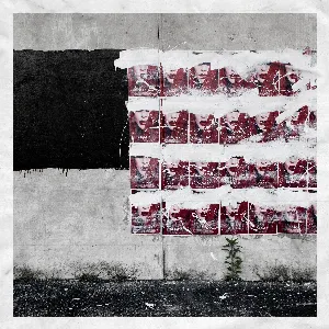 Pochette de Girls @ de Joey Purp
