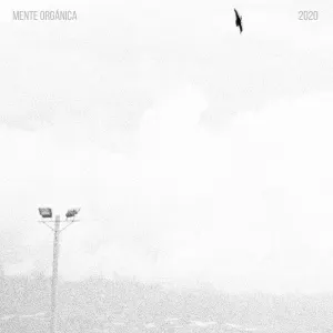 Pochette de 2020 de Mente Orgánica