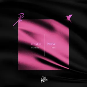 Pochette de Right Now (Adam Pearce remix) de NURKO