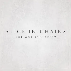 Pochette de The One You Know de Alice in Chains