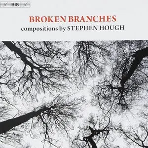 Pochette Broken Branches