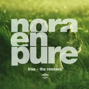 Pochette de True (The Remixes) de Nora en Pure