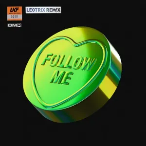 Pochette de Follow Me (Leotrix's Growly remix) de ShockOne