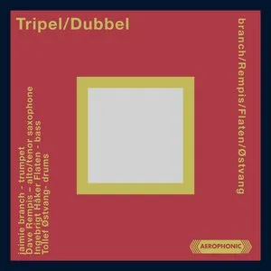 Pochette de Tripel/Dubbel de Ingebrigt Håker Flaten - Dave Rempis