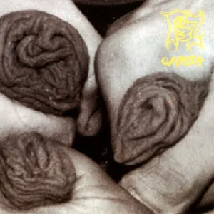 Pochette de Cabeza de Pez