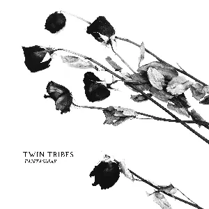 Pochette de Fantasmas de Twin Tribes