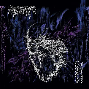 Pochette de Eroded Corridors of Unbeing de Spectral Voice