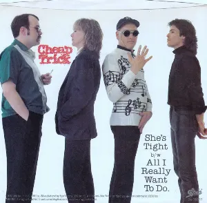 Pochette de She’s Tight de Cheap Trick