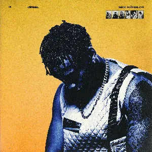 Pochette de Sex Känslor de Jireel