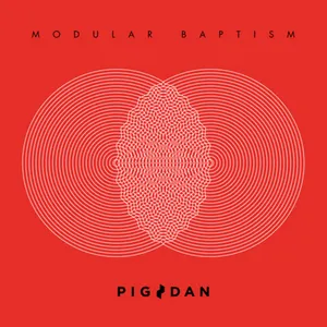 Pochette de Modular Baptism de Pig&Dan