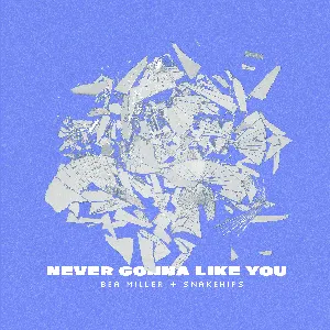 Pochette de NEVER GONNA LIKE YOU de Snakehips