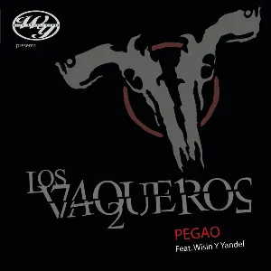 Pochette de Pegao de Wisin & Yandel