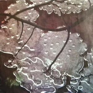Pochette de Armaghedon de Maurizio Bianchi