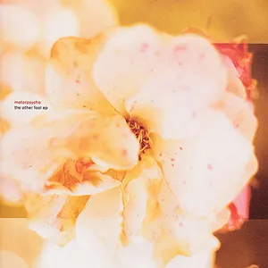 Pochette de The Other Fool EP de Motorpsycho