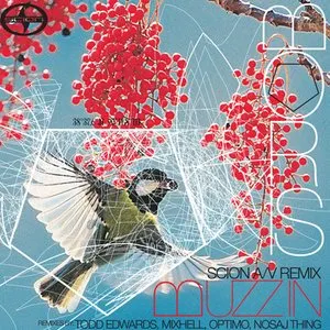 Pochette de Scion A/V Remix: Buzz In de Boris