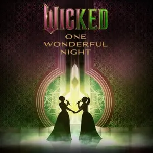 Pochette de Wicked: One Wonderful Night de Stephen Schwartz