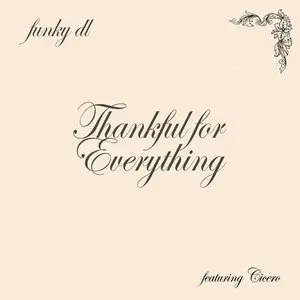 Pochette de Thankful for Everything de Funky DL