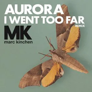 Pochette de I Went Too Far (MK Remix) de AURORA