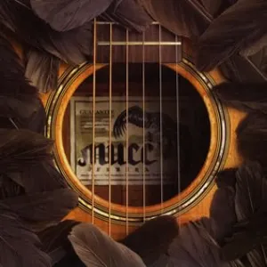 Pochette de ガーベラ de MUCC