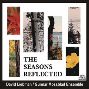 Pochette de The Seasons Reflected de David Liebman