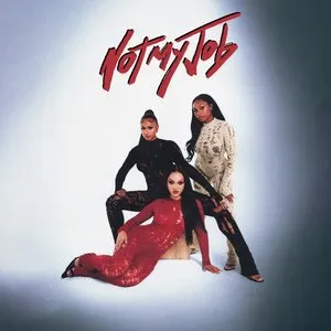 Pochette de Not My Job de FLO