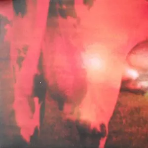 Pochette de He Who Laughs de Jim O’Rourke