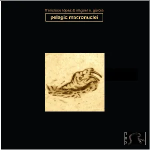 Pochette de Pelagic Macronuclei de Francisco López
