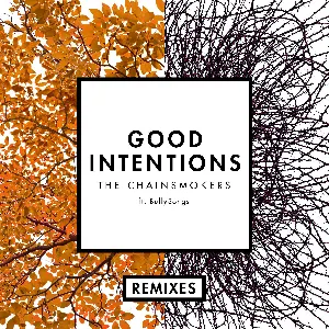 Pochette Good Intentions (remixes)