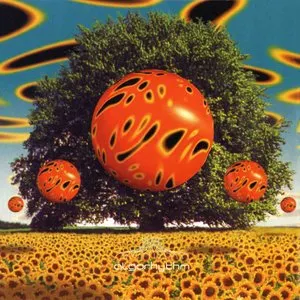 Pochette de Algorhythm de Boxcar