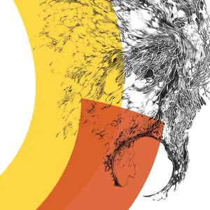 Pochette de Shadows de The Observatory