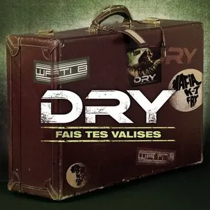 Pochette de Fais tes valises de Dry