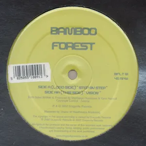Pochette de Step By Step / Vision de Bamboo Forest