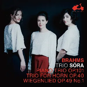 Pochette de Brahms: Piano Trio Op. 101, Trio for Horn Op. 40, Wiegenlied & Op. 49 No. 1 de Johannes Brahms