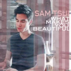 Pochette de What Makes You Beautiful de Sam Tsui