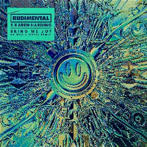 Pochette de Bring Me Joy (Mr. Belt & Wezol remix) de Karen Harding - Rudimental