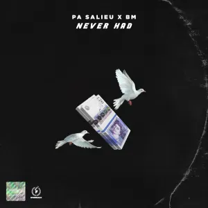Pochette de Never Had de Pa Salieu
