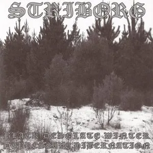 Pochette de Black Desolate Winter / Depressive Hibernation de Striborg