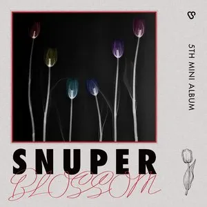 Pochette de BLOSSOM de SNUPER