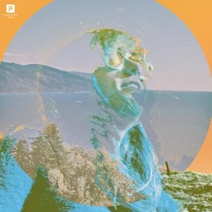 Pochette de Campo de Toro y Moi