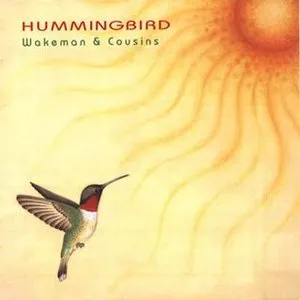 Pochette Hummingbird