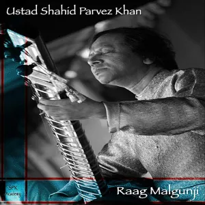 Pochette de Raag Malgunji de Shahid Parvez