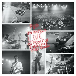 Pochette de PUP Unravels Live in Front of Everyone They Know de PUP