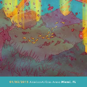 Pochette 2015‐01‐03: AmericanAirlines Arena, Miami, FL, USA