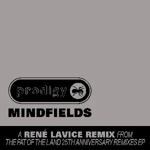 Pochette Mindfields (René LaVice remix)