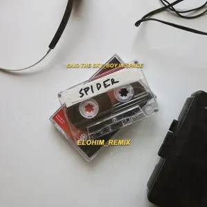 Pochette de Spider (Elohim remix) de Said the Sky