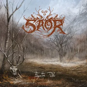 Pochette de Forgotten Paths de Saor
