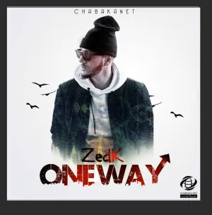 Pochette de One Way de Zedk