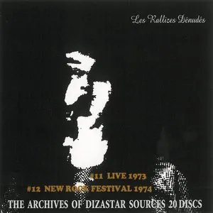 Pochette de The Archives of Dizastar Sources, Volume 6 de Les Rallizes Dénudés