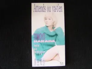 Pochette de Attends ou va-t'en de Tomoyo Harada