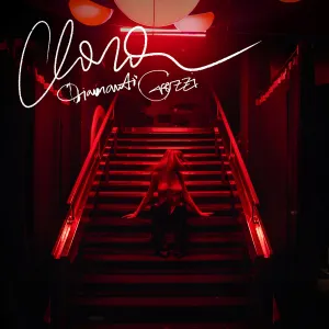 Pochette de Diamanti grezzi de Clara